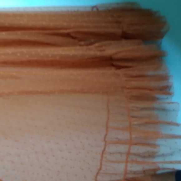 Wax Poetic Isabell Dot Mesh Dress SOLD OUT - Picture 4 of 10